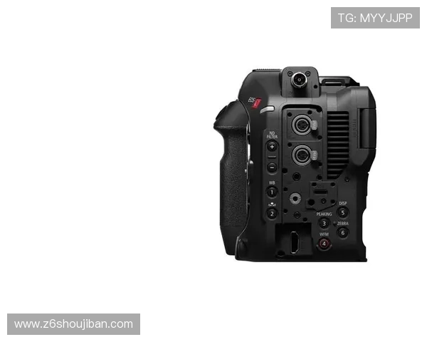 Z6尊龙网站登录入口多设备登录支持，随时随地畅享游戏体验